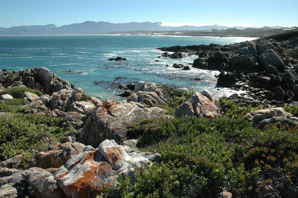 Cliff Lodge Gansbaai Exterior foto