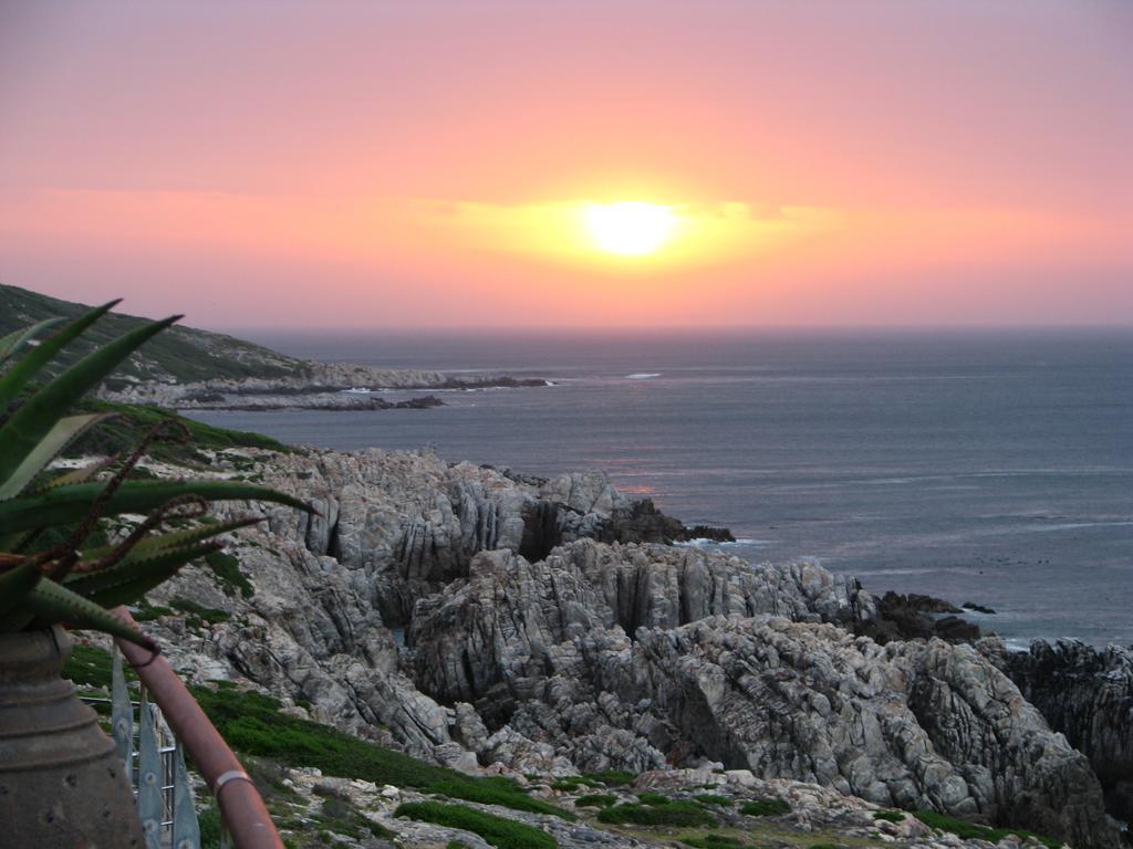 Cliff Lodge Gansbaai Exterior foto